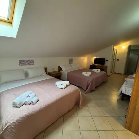 Dream Hotel