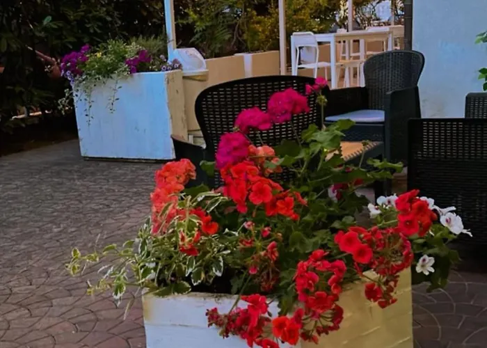 Dream 2* ريميني